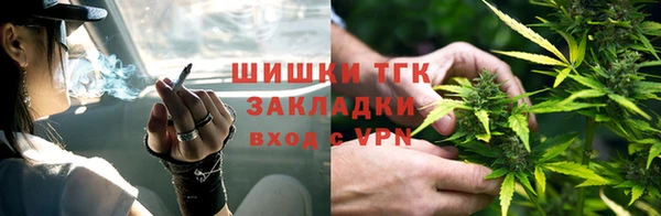 ПСИЛОЦИБИНОВЫЕ ГРИБЫ Новодвинск
