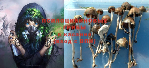 альфа пвп Новозыбков