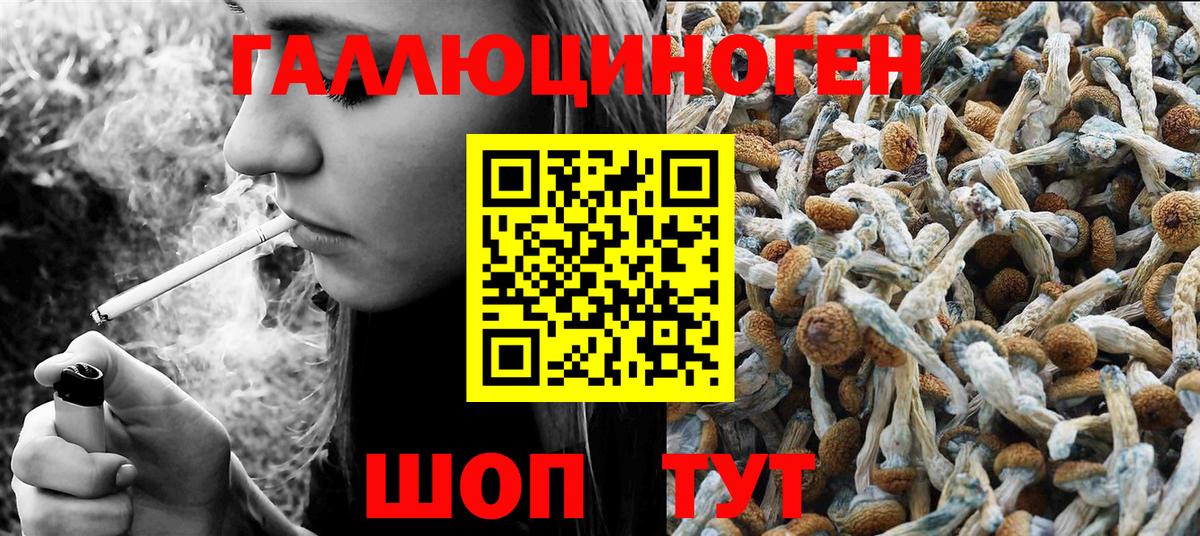 Галлюциногенные грибы мицелий  Вход с VPN  Астрахань 