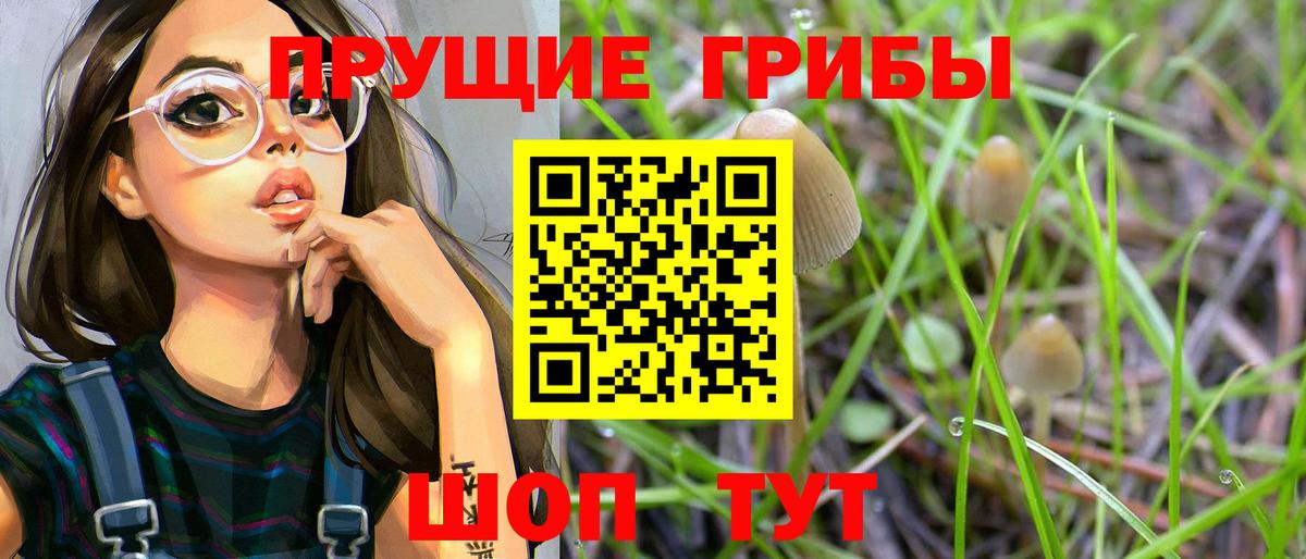 Псилоцибиновые грибы Magic Shrooms Астрахань